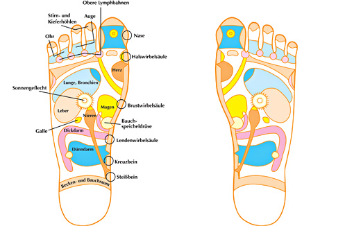 Fussreflexzonen